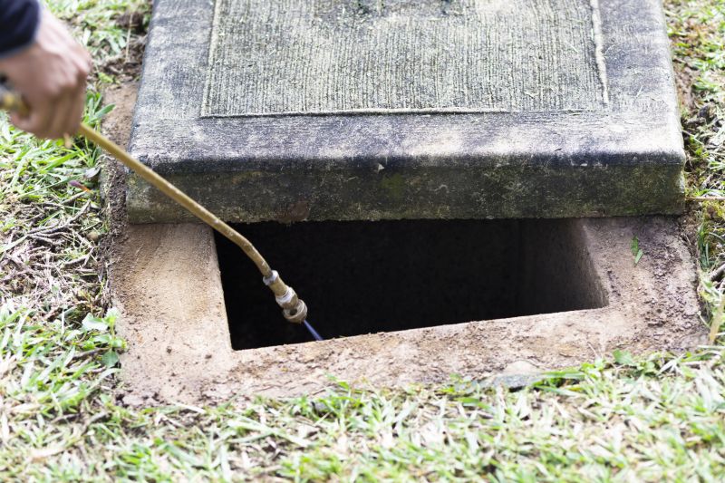 Rat Fumigation Service in Katy, TX