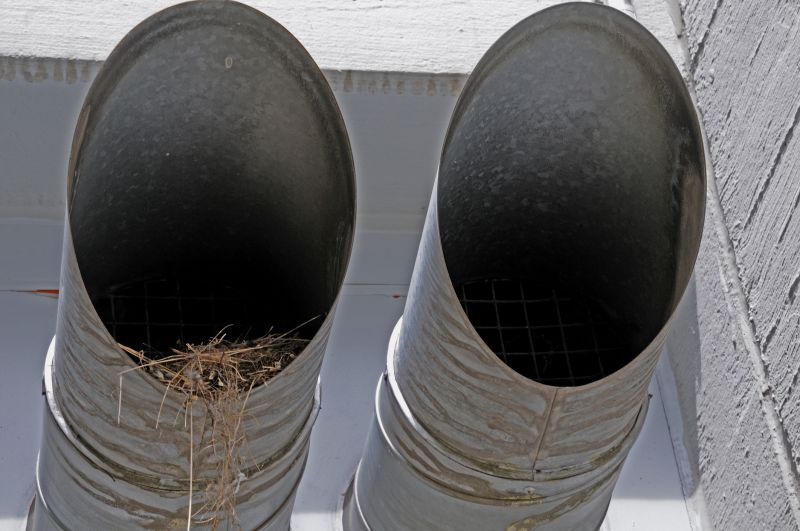 Bird Nest Removal Costs — Cost of Bird Nest Removal